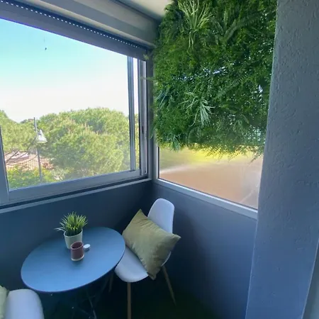 Le Zen Renove