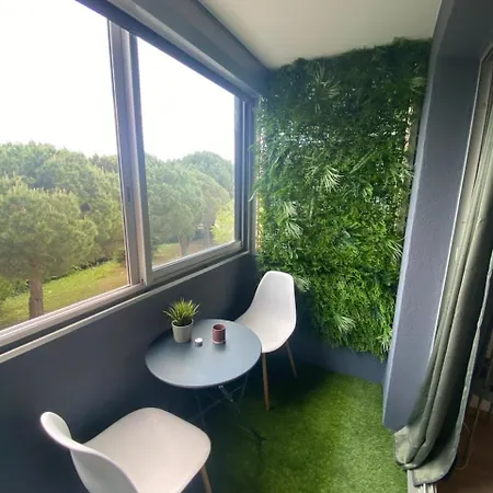 Apartament Le Zen Renove